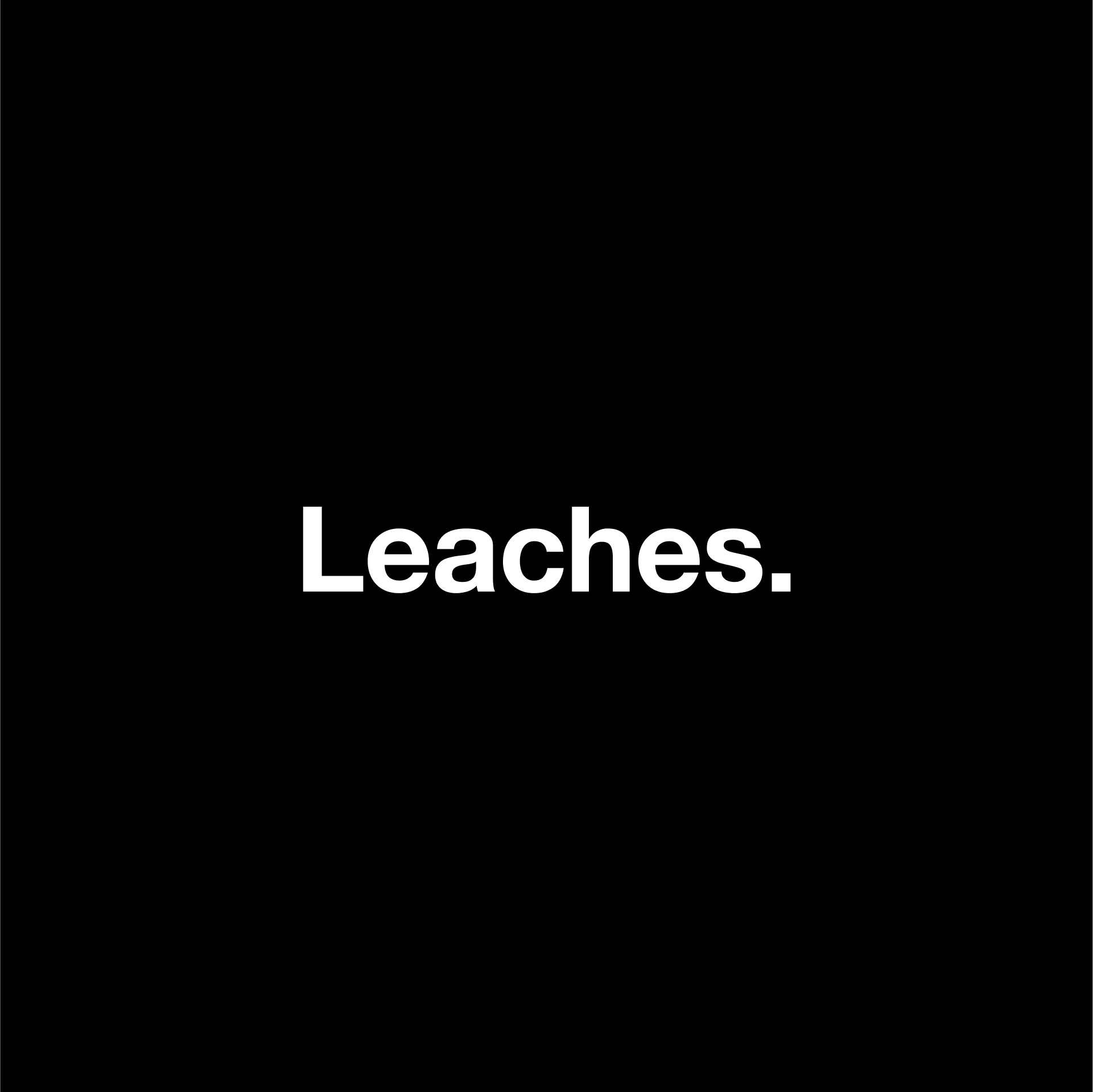 leachesmusic — Echio review