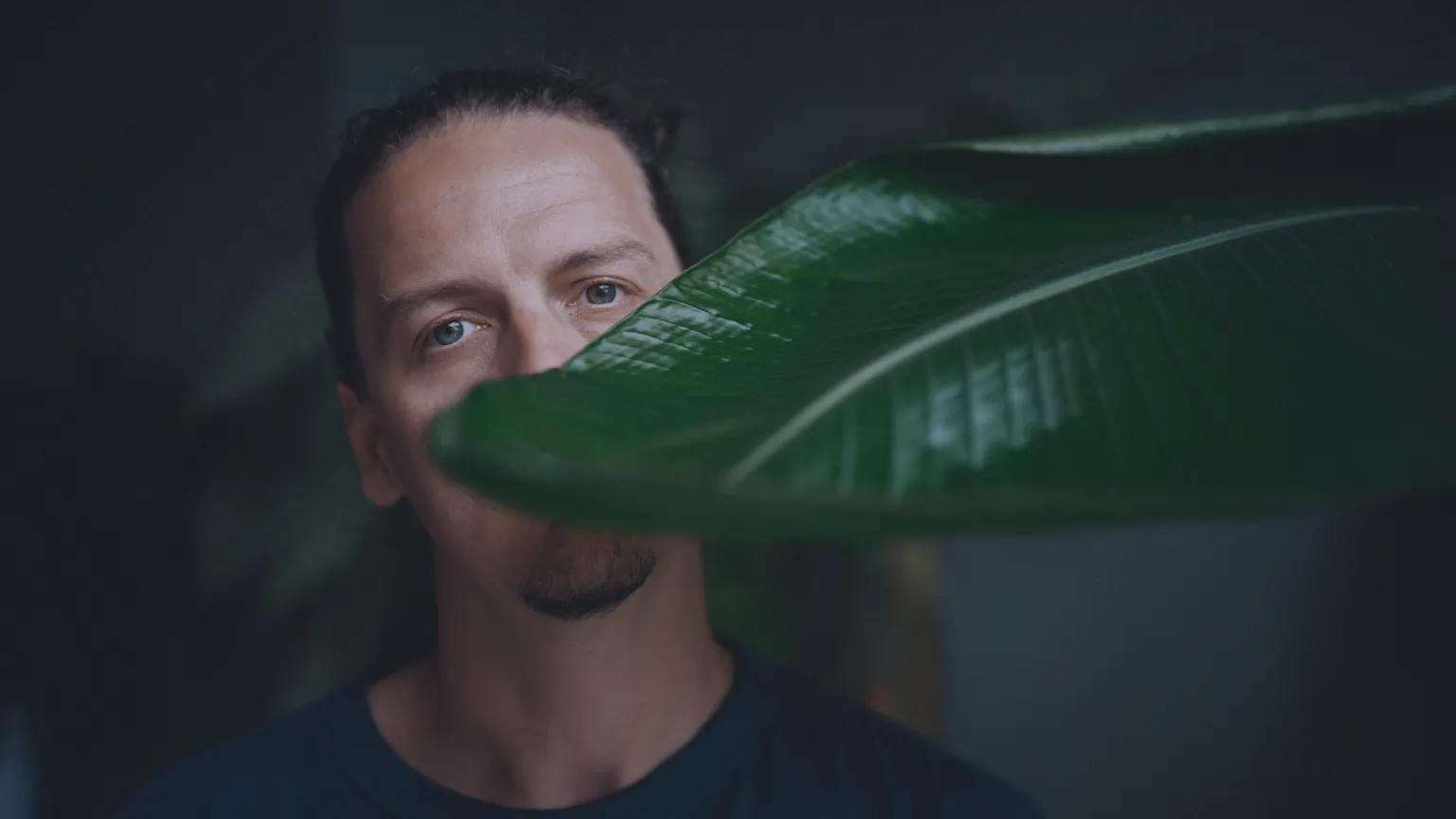 Thys - Electro artist offering music feedback on Echio